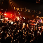 LACCO TOWER対バンツアーに鴉、SUPER BEAVER、マイヘアら
