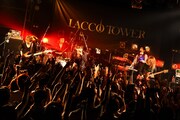 「LACCO TOWER『非幸福論』リリースツアー“感幸旅行”」東京・LIQUIDROOM公演の様子。(Photo by MASANORI FUJIKAWA)