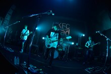 PELICAN FANCLUB（Photo by Yuki Kawamoto）