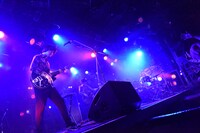 シナリオアートによるライブの様子。