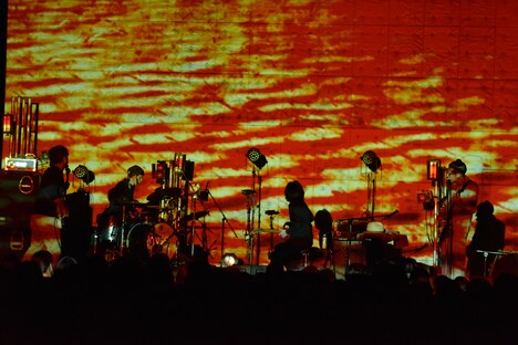 downy（Photo by Yuki Kawamoto）