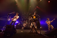 キュウソネコカミ（Photo by Yuki Kawamoto）