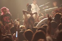 神聖かまってちゃんのアンコールでゆるめるモ！が乱入した様子。（撮影：ハヤシサトル）