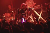 ようなぴ（撮影：ハヤシサトル）