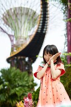 LiSA「BRiGHT FLiGHT@ASiA シンガポール編」のワンカット。