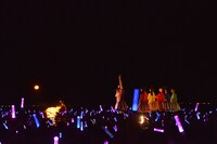 チームしゃちほこ「しゃちサマ2015」の様子。