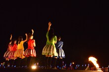 チームしゃちほこ「しゃちサマ2015」の様子。