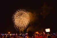 蒲郡の夜空に上がる打ち上げ花火。