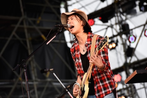 ストレイテナー