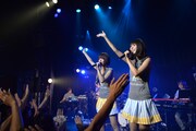 バニラビーンズ(写真は本日8月29日に行われたワンマンライブの様子)