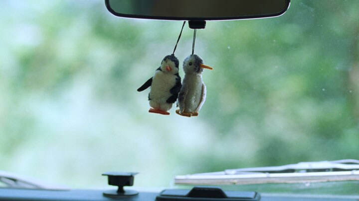 「オールフリー」の新CM「スイートメモリーズ」編のワンシーン。