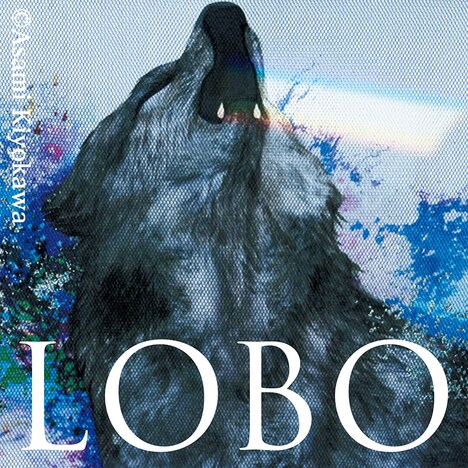 金子ノブアキ「LOBO」配信ジャケット