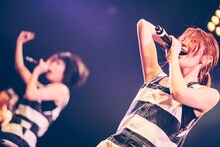 8月27日に行われた「Amazing Battle Royal」でのひめキュンフルーツ缶のステージ。（撮影：西槙太一）