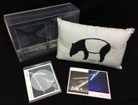 ねごと「"VISION" TOUR 2015」Blu-ray豪華な完全生産限定盤パッケージ