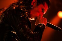 NOCTURNAL BLOODLUST（撮影：西槇太一）