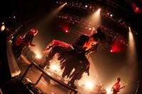 NOCTURNAL BLOODLUST（撮影：西槇太一）