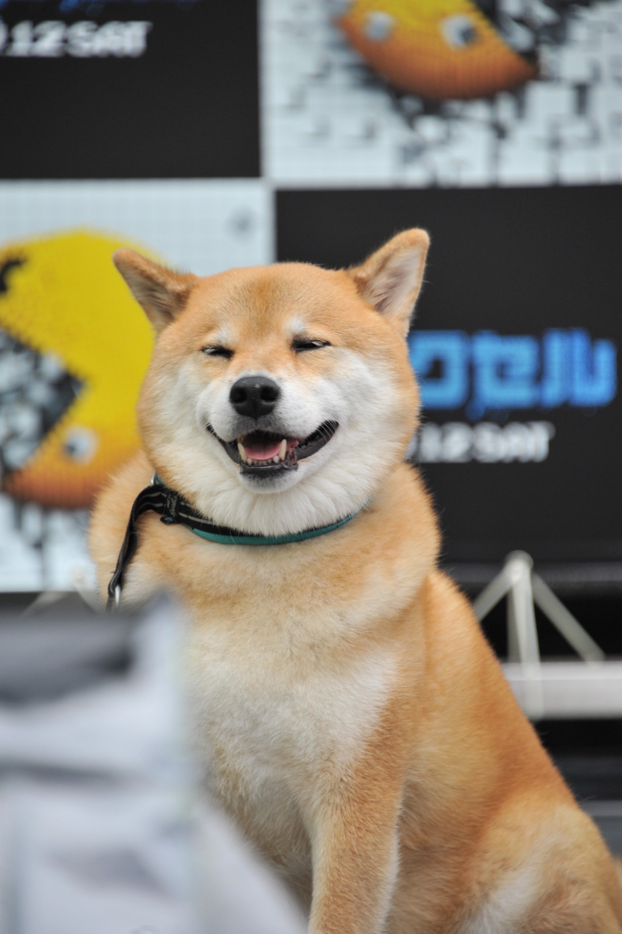 イベント中のまる。