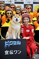 「ピクセル」主題歌イベントに登壇した三戸なつめとまる。