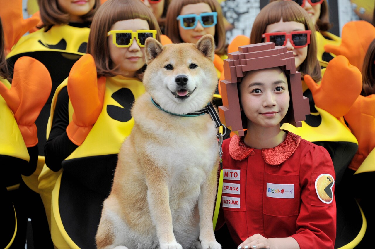 三戸なつめ「ピクセル」主題歌披露で大人気柴犬・まるにメロメロ