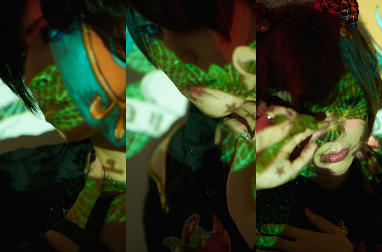 メガマソが12月から1年間、進化を目指し“少し長めの冬眠”へ