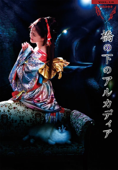 中島みゆき「夜会VOL.18『橋の下のアルカディア』」ジャケット