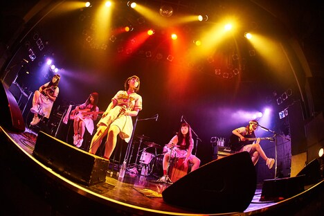 アコースティックセットでのライブの様子。(提供:ポニーキャニオン)