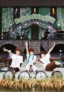 Negicco「Negicco at 日比谷野外大音楽堂 Road of Negiiiiiii ～Negicco One Man Show～ 2015 Summer」通常盤ジャケット
