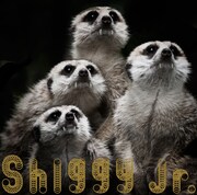 Shiggy Jr.「GHOST PARTY」初回限定盤ジャケット