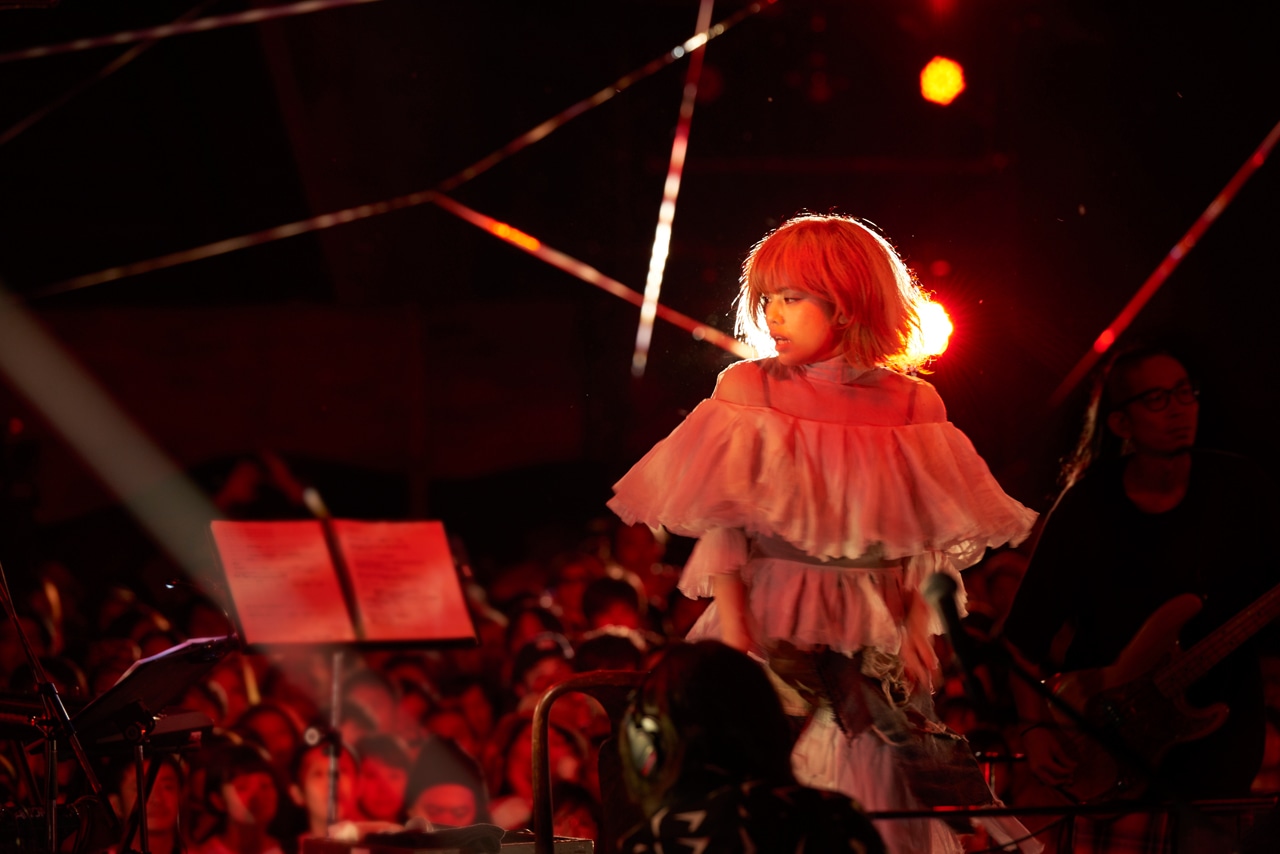YEN TOWN BAND「大地の芸術祭 2015 YEN TOWN BAND @NO×BUTAI produced by Takeshi Kobayashi」の様子。（Photo by Yoshiharu Ota）