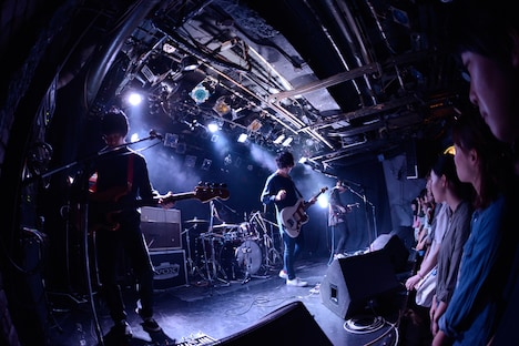 polly（撮影：オチアイユカ）