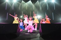 「愛乙女★DOLL 6thワンマンライブin渋谷公会堂～君と見る七色の流れ星☆願いを込めて歌う歌！聴かなきゃ“こうかい”しちゃうぞ！」の様子。