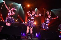 「愛乙女★DOLL 6thワンマンライブin渋谷公会堂～君と見る七色の流れ星☆願いを込めて歌う歌！聴かなきゃ“こうかい”しちゃうぞ！」の様子。