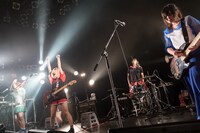 ぽわん（撮影：箪笥）