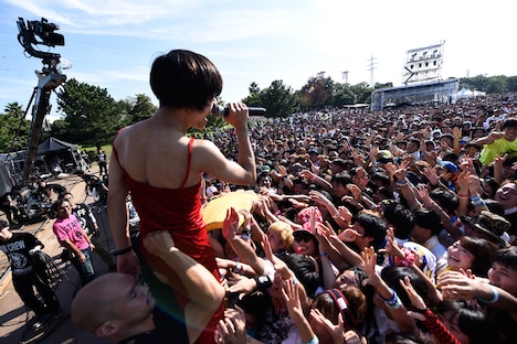 キュウソネコカミ（撮影：中野修也）