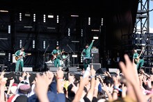 キュウソネコカミ（撮影：中野修也）