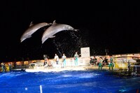 「京都音楽博覧会 presents Quruli aQuarium」 ～ 京都音楽博覧会 公開打ち上げ～」の様子。（撮影：久保憲司）