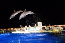 「京都音楽博覧会 presents Quruli aQuarium」 ～ 京都音楽博覧会 公開打ち上げ～」の様子。（撮影：久保憲司）