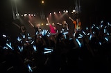 「しず風&絆~KIZUNA~ THE LAST LIVE @TOKYO ~偽りのさ・よ・な・ら~」の様子。