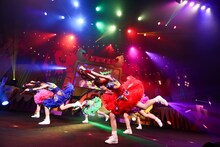 「“約東海3県ホールツアー” チームしゃちほこ ホールツアー2015 さきどりハロウィンパーティー ～あそんでくれないと踊っちゃうぞ～」愛知公演の様子。（撮影：笹森健一）