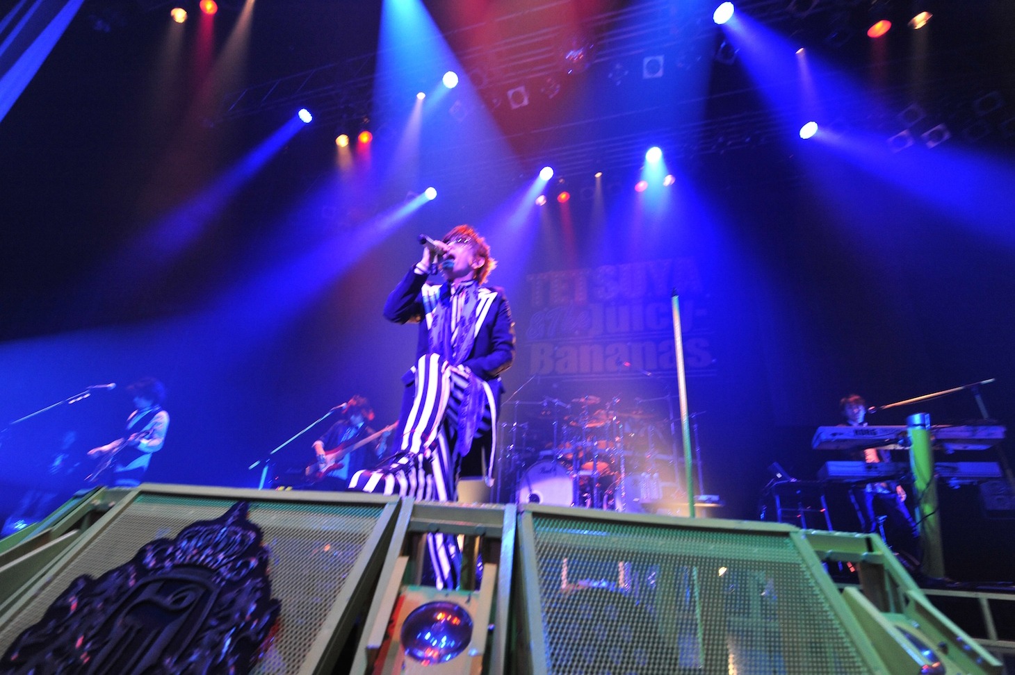 「TETSUYA LIVE 2015 "THANK YOU"」の模様。（撮影：今元秀明）