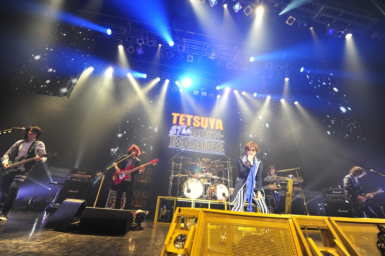 「TETSUYA LIVE 2015 "THANK YOU"」の様子。（撮影：今元秀明）