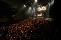 THE BAWDIES（Photo by JUNYA S-STEADY）