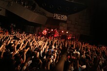 夜の本気ダンス（Photo by HOSHINA OGAWA）