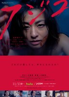 ドラマ「フジコ」ポスタービジュアル (c)HJホールディングス / 共同テレビジョン (c)真梨幸子 / 徳間書店
