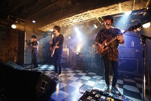 polly（撮影：板橋淳一）