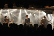 polly（撮影：板橋淳一）