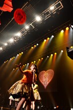 フリスビーを投げる柏木ひなた。