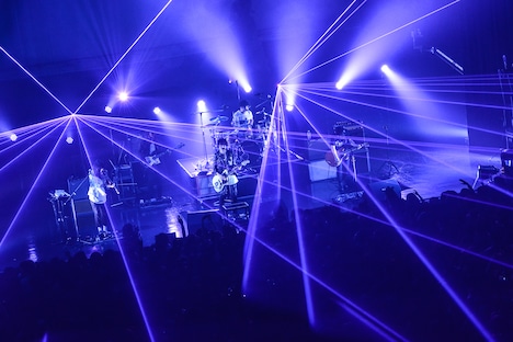 「The Vanishing Bride Tour 2015 ～消えた花嫁を探せ！～」Zepp Tokyo公演の様子。（Photo by Azusa Takada）