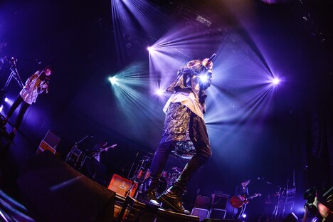 「The Vanishing Bride Tour 2015 ～消えた花嫁を探せ！～」Zepp Tokyo公演の様子。（Photo by Azusa Takada）