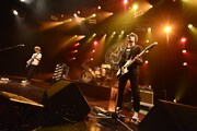 THE PREDATORSの東京・Zepp Tokyo公演の様子。（撮影：橋本塁 / SOUND SHOOTER）
